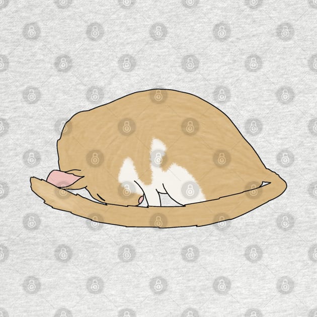 Cute sleeping golden gerbil by Becky-Marie